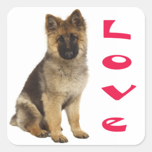 Autocollants de chiots berger allemand adorables