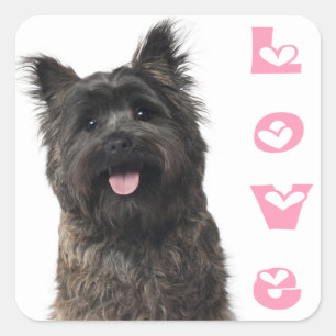 Autocollants de chiots Cairn Terrier rose coeurs d