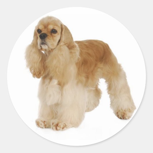 Autocollants de chiots Cocker Spaniel mignons (Devant)