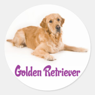 Autocollants de chiots Golden Retriever adorables