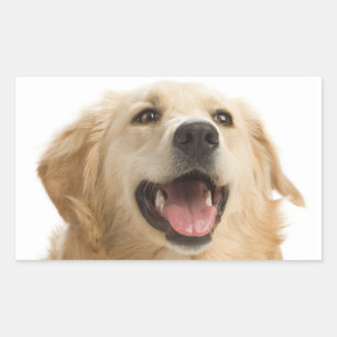 Autocollants de chiots Retriever dorés heureux