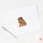Autocollants de chiots Rhodesian Ridgeback (Enveloppe)