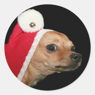 Autocollants de chiwawa de Noël