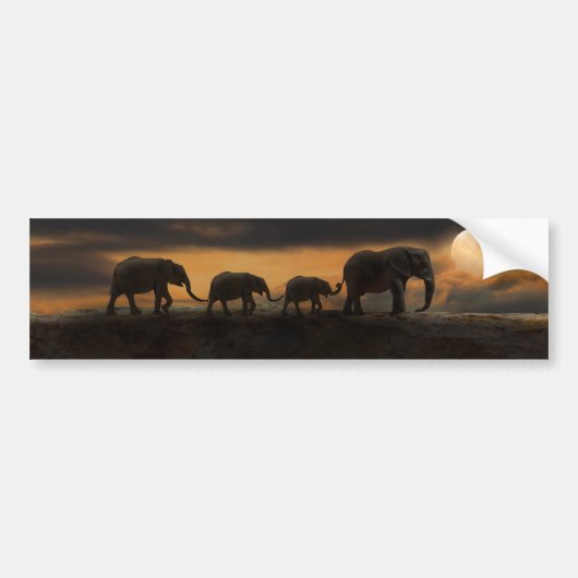AUTOCOLLANTS DE CHOC DE L'ÉLÉPHANT ÉLÉPHANTS (Devant)