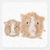 Autocollants de cochons d'Inde (Devant)