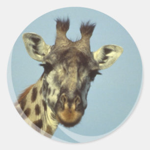 Autocollants de conception de girafe