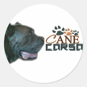 Autocollants de Corso de canne (P)