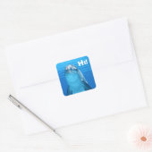 Autocollants de dauphin amical (Enveloppe)
