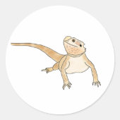 Autocollants de dragon barbus citrouilles ! (Devant)