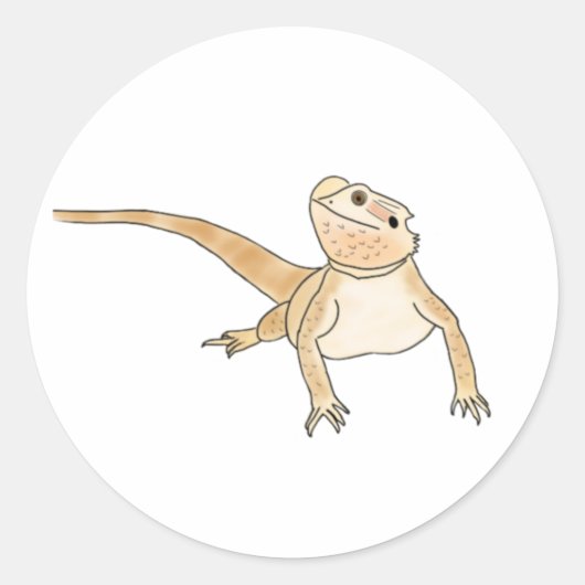 Autocollants de dragon barbus citrouilles ! (Devant)