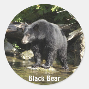Autocollants de faune d'ours noir "de tache