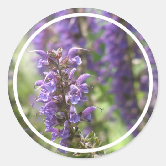 Autocollants de fleur de lavande (Devant)