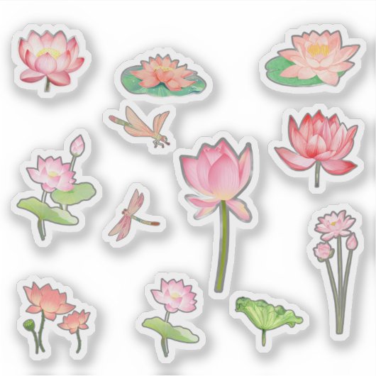 Autocollants de fleur de lotus rose (Devant)
