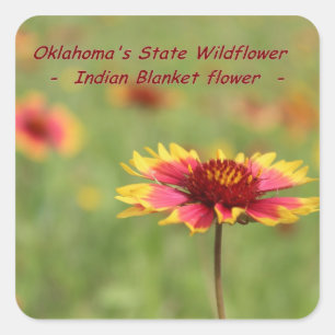 Autocollants de fleur d'état de l'Oklahoma