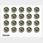 Autocollants de grenouille (Feuille)