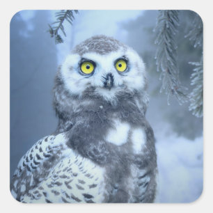 autocollants de hibou des neiges