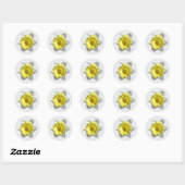 Autocollants de jonquille blanche (Feuille)
