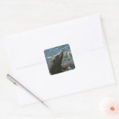 Autocollants de lion de mer (Enveloppe)