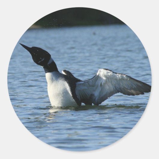 Autocollants de Loon (Devant)