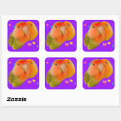 Autocollants de lovebird mignons (Feuille)