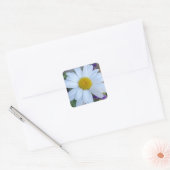 Autocollants de marguerite (Enveloppe)