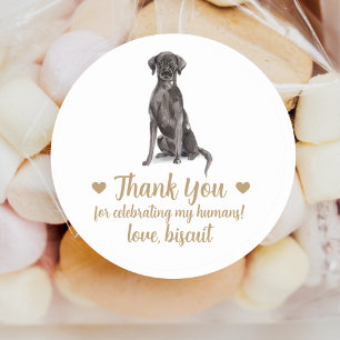 Autocollants de mariage personnalisés pour chiens