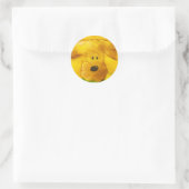 Autocollants de marionnettes (Sac)