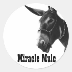 Autocollants de mule de miracle
