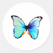 Autocollants de papillon Morpho bleu (Devant)