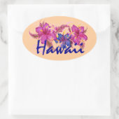 Autocollants de pêche pour fleurs d'hibiscus Hawai (Sac)
