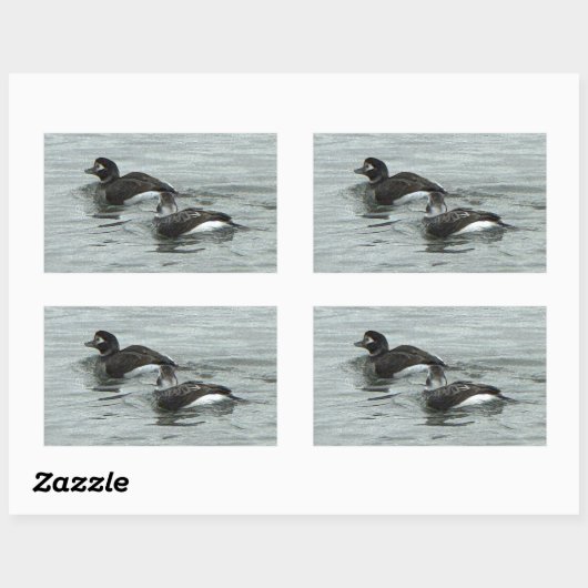 Autocollants de photo de canards dans l'océan (Feuille)