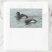 Autocollants de photo de canards dans l'océan (Sac)