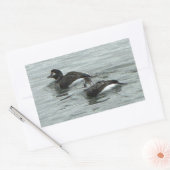Autocollants de photo de canards dans l'océan (Enveloppe)