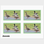 Autocollants de photos de canards (Feuille)