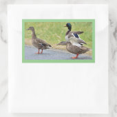 Autocollants de photos de canards (Sac)