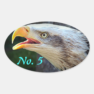 Autocollants de poubelle d'Eagle chauve