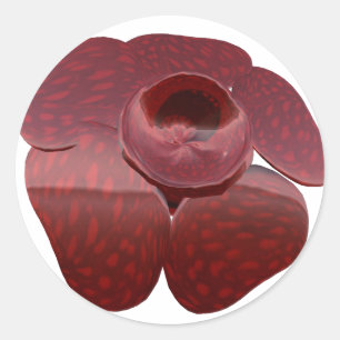 Autocollants de Rafflesia