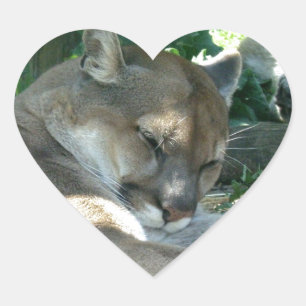 Autocollants de repos de puma