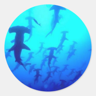 Autocollants de requin