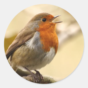 Autocollants de Robin