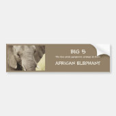 Autocollants de safari de faune d'éléphant (Devant)