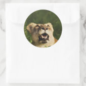Autocollants de safari pour la faune de Lion (Sac)