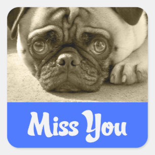 Autocollants de salutation Chien Chiot Carlin Tu M