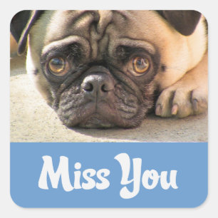 Autocollants de salutation Chien Chiot Carlin Tu M