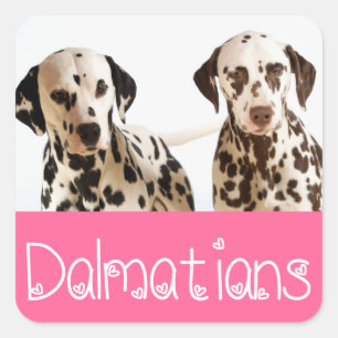 Autocollants de salutation de chiot Dalmatien
