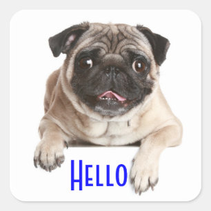 Autocollants de salutation Hello Chien chiot Pug