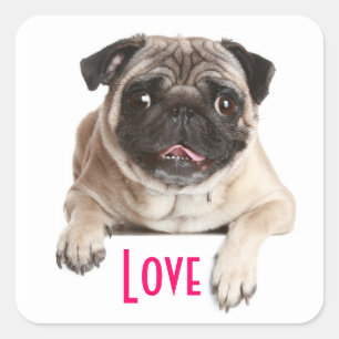 Autocollants de salutation pour chien chiot Pug d'