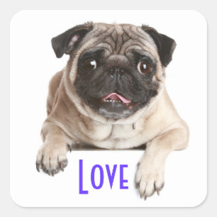 Autocollants de salutation pour chien chiot Pug d'