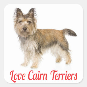 Autocollants de salutation pour chiot Cairn Terrie