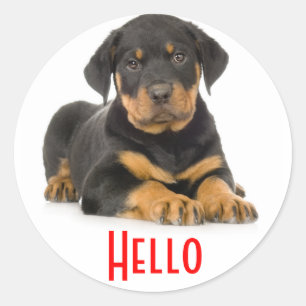 Autocollants de salutation pour chiot Rottweiler